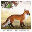 缩略图 5