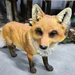 缩略图 1