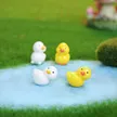 缩略图 2