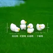 缩略图 5