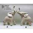 缩略图 5
