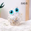 缩略图 6