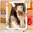 缩略图 1