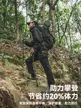 缩略图 2