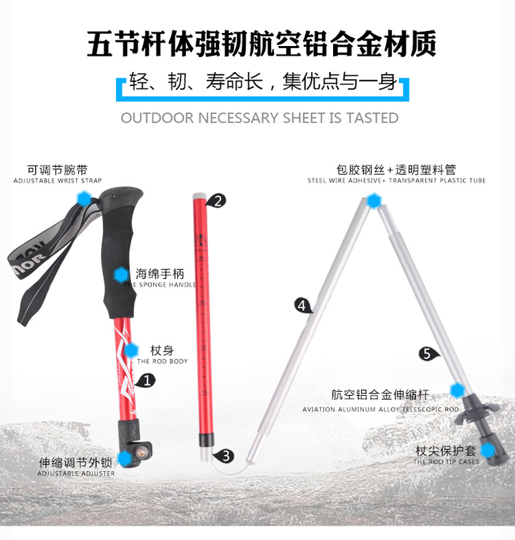 自由光4系  (5).jpg