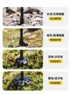缩略图 4