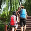 缩略图 1