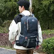 缩略图 1
