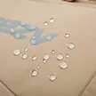 缩略图 8