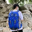 缩略图 7