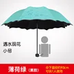 缩略图 8