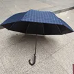 缩略图 5