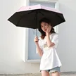 缩略图 2