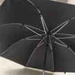 缩略图 8
