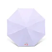 缩略图 3