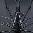 缩略图 1