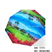 缩略图 6