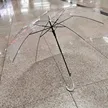 缩略图 5