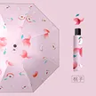 缩略图 6