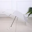 缩略图 8
