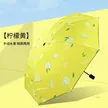 缩略图 8