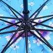 缩略图 1