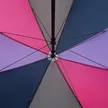 缩略图 3
