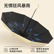 缩略图 3