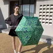 缩略图 1