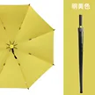 缩略图 5