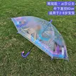 缩略图 5