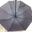 缩略图 10
