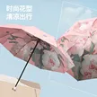 缩略图 2
