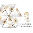 缩略图 9