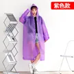 缩略图 7
