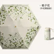 缩略图 6