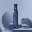 缩略图 6