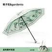 缩略图 8