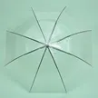 缩略图 1