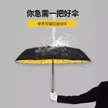 缩略图 2
