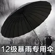 缩略图 2