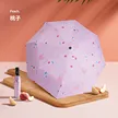 缩略图 5