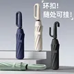缩略图 3