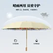 缩略图 3