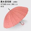 缩略图 7