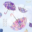 缩略图 6