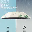 缩略图 2