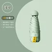 缩略图 5