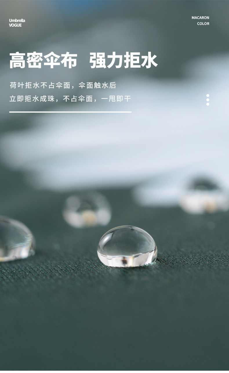 小雏菊自动_05.jpg