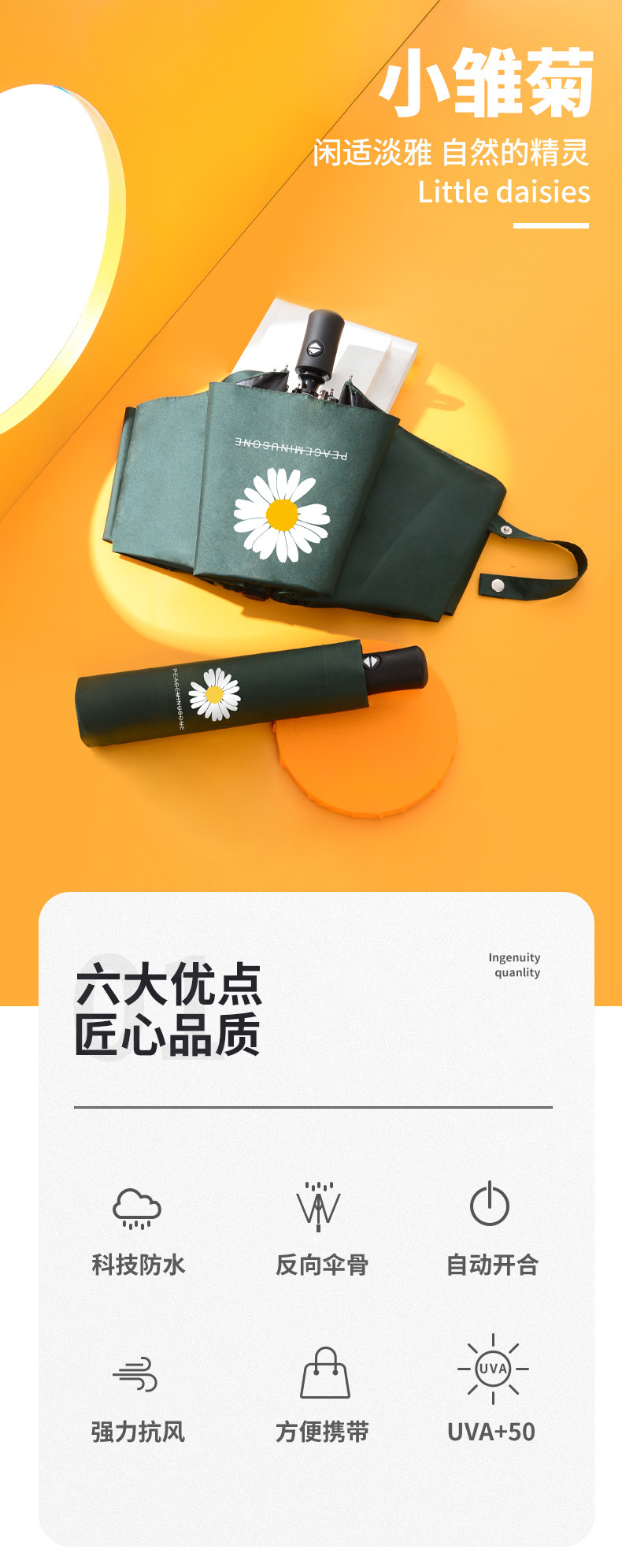 小雏菊自动_01.jpg